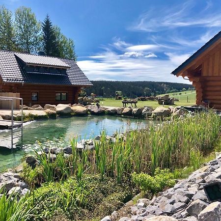 Naturstammhaus Und Appartements Zum Brockenbaecker Tanne Exterior foto